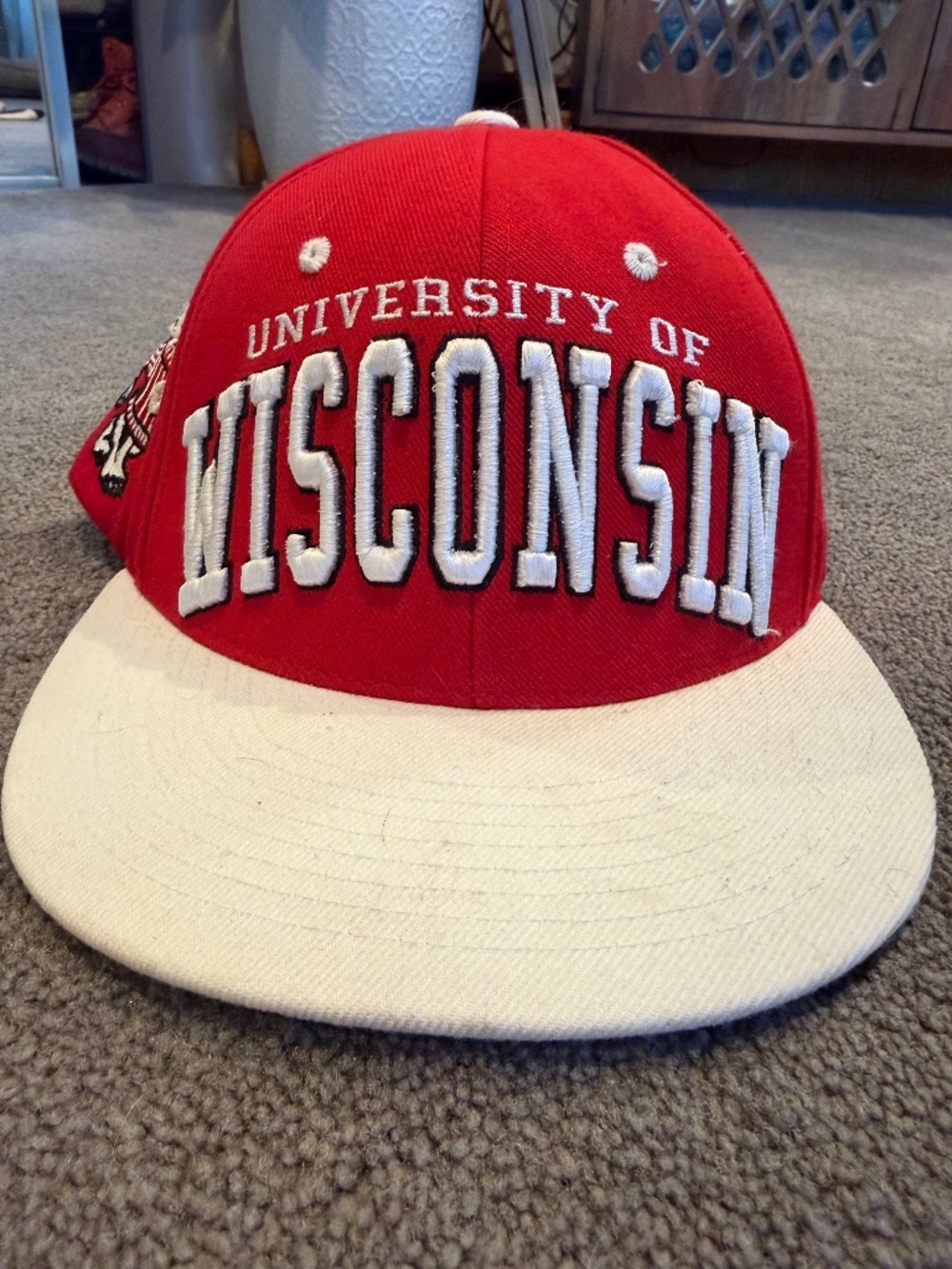 UW - Madison Snap Back Hat